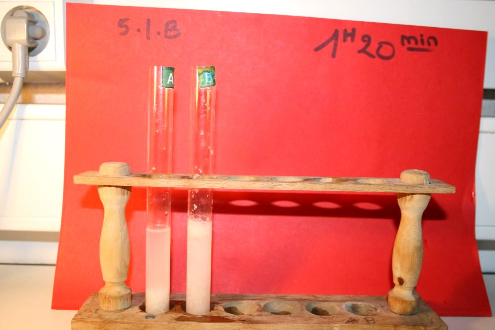 gal/LES_CINQUIEMES/ACTIVITE DIGESTION IN VITRO/Groupe_03/Groupe03_t_01h20min/Groupe03_temps01H20min_22.jpg